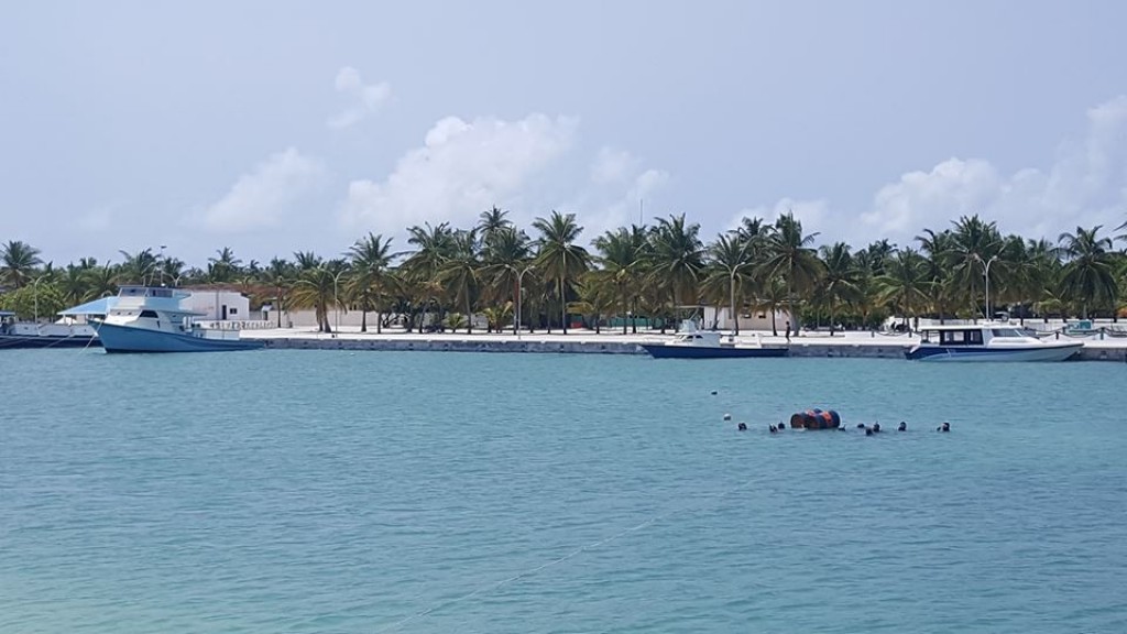 BREAKING: Finey, Makunudhoo adhi Maarandhoo ah ves arai feybun manaa kohfi