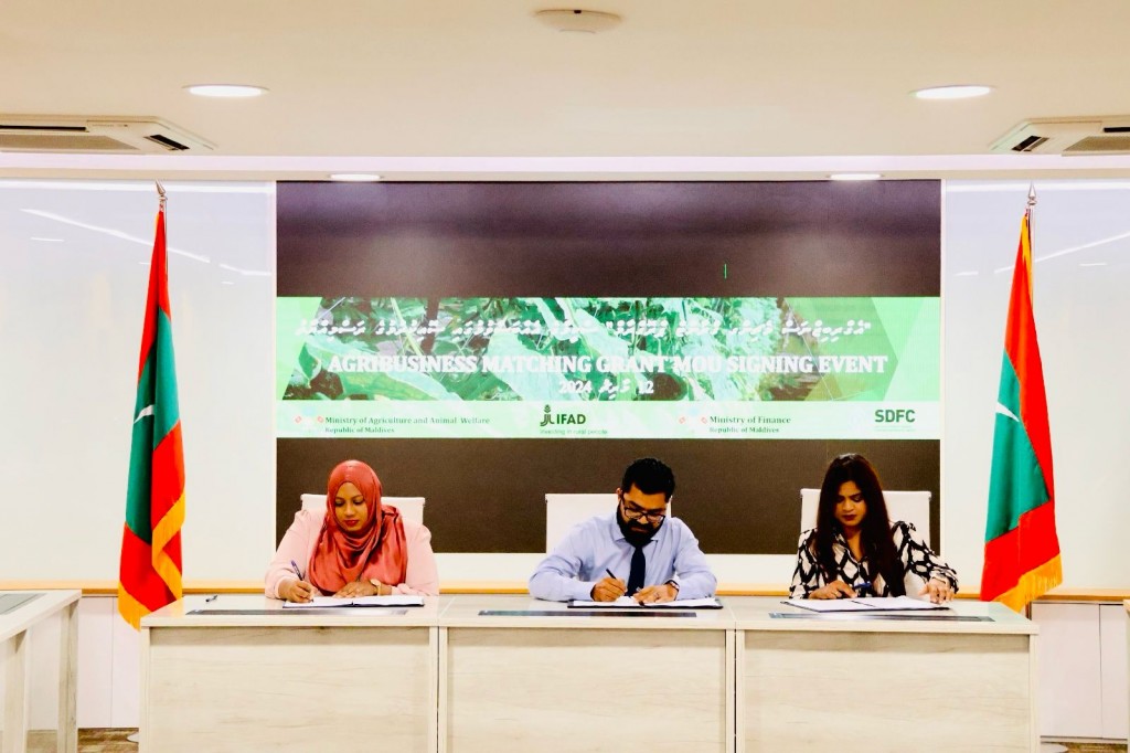 Sarukaarun dhanduverinnah maalee eheetherikan foarukohdhey scheme feshumah SDFC aaeku ebbasvumakah