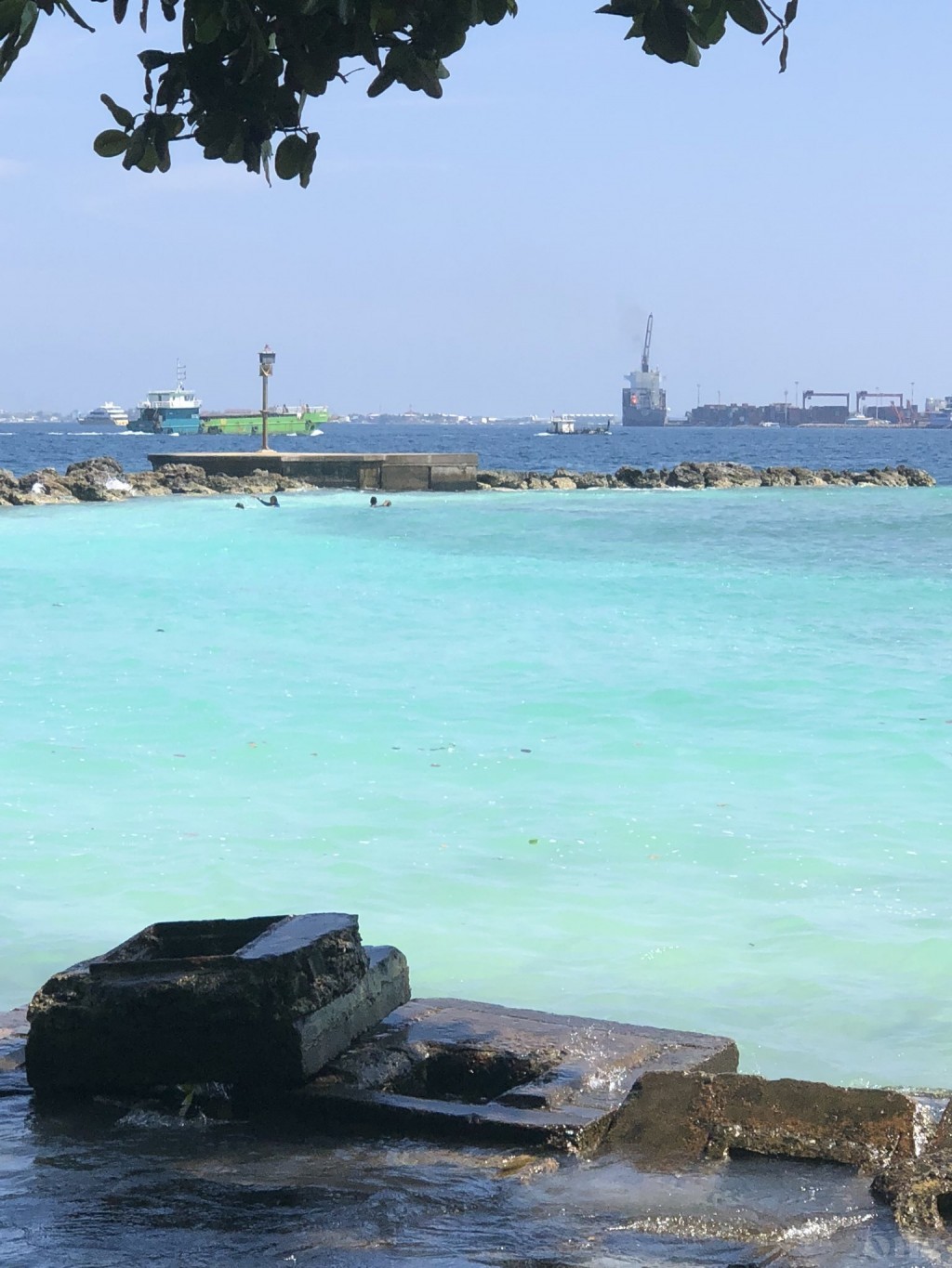 All populated islands to be designated 'safe zones' for swimming