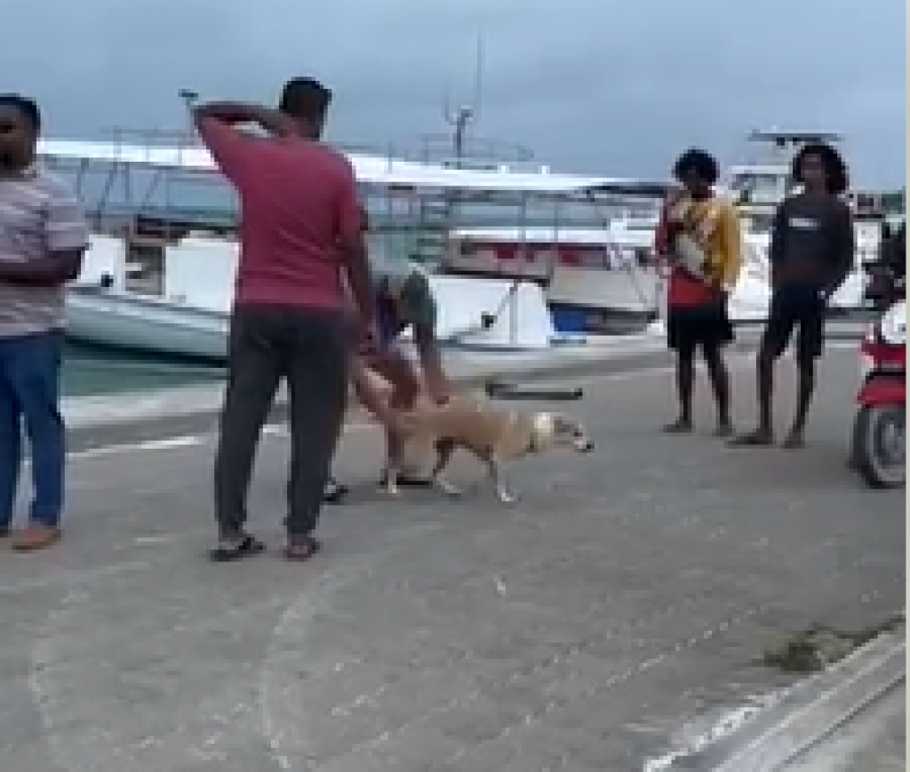 Fathuruveriyaku Thulusdhoo ah beyli kuthaa eh fuluhun medhuverikoh beyru koffi