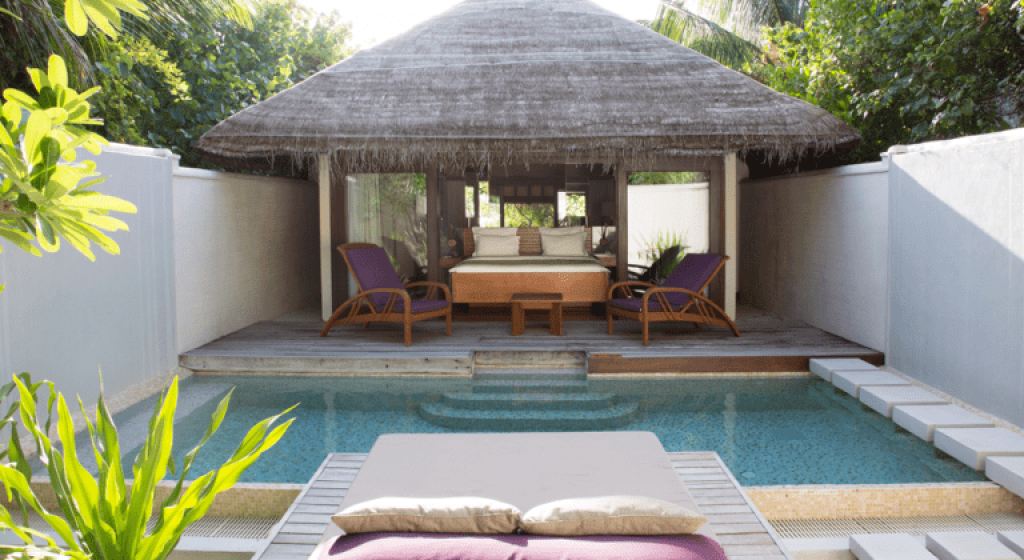 Coco bodu hithi pool eh gai 8 aharuge kujjaku maruvefai ohvai fenihjje