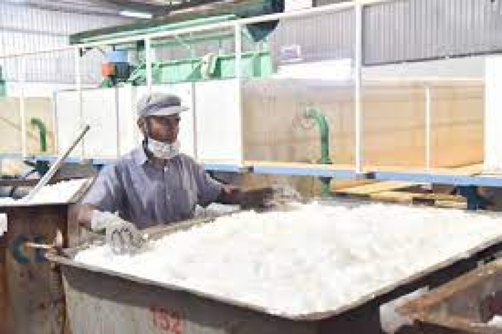 Kuriyah oiy 6 mastherey 9 sarahahddhehggai ice plant bahattai ninmanee
