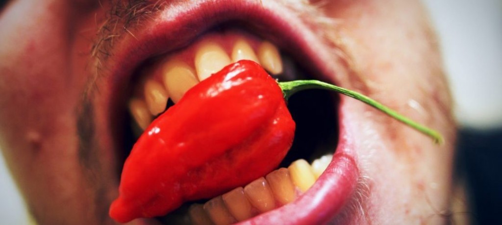 Kulhi madukohtha noonee Kulhi gadha kohtha?