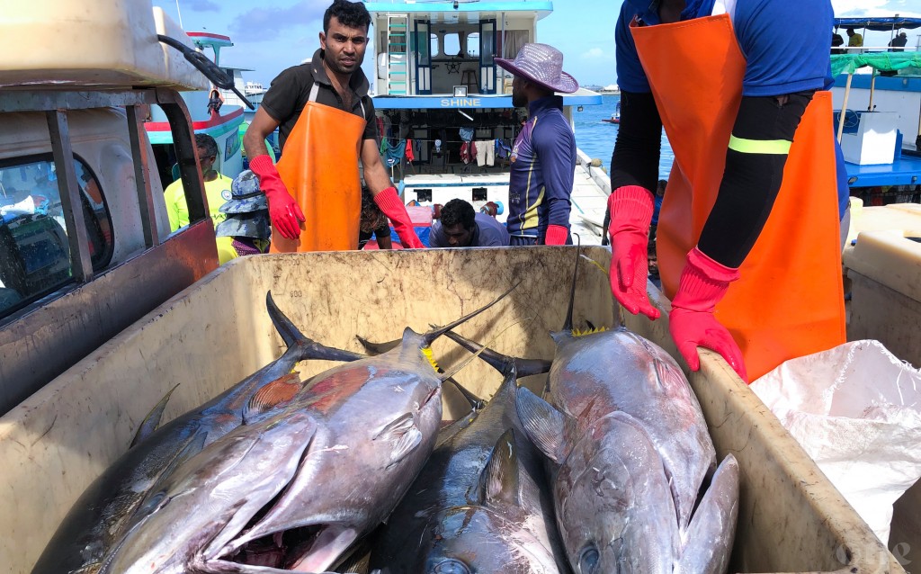 Europe ge gaumuthakah etherekuraa dhivehi kan’du mahuge baavaiythakun duty maafukurumah mashvaraa kohffi