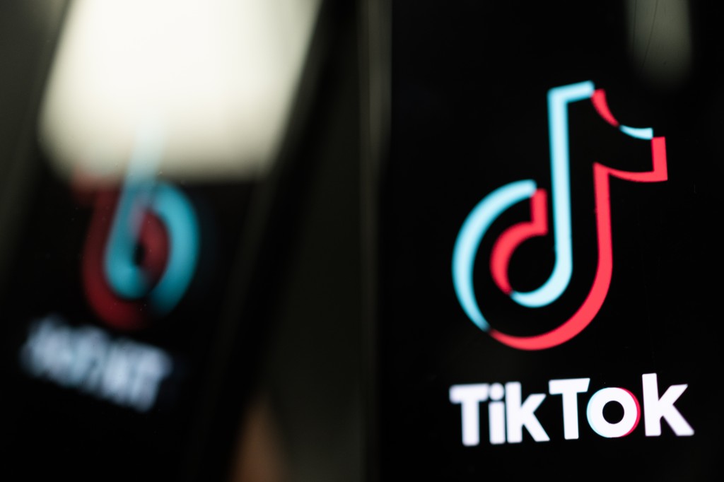 Nepal gai Tiktok manaakuranee