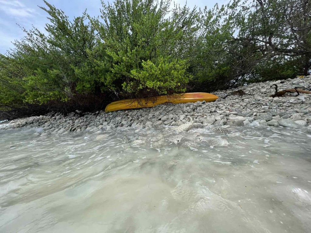 Raamiz dhathurukuri kamah belevey canoe fenijje