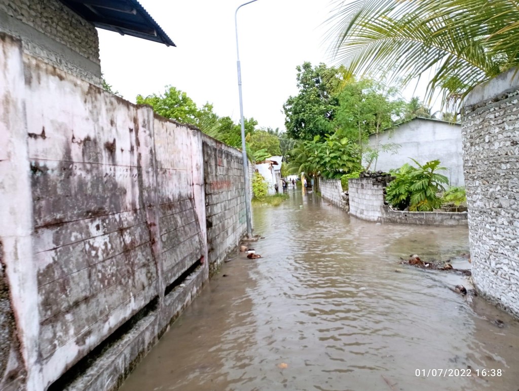 Dhekuna eri udhaigai 18 rashege 200 ahvure gina geya lonu vadhe gelluvi: NDMA