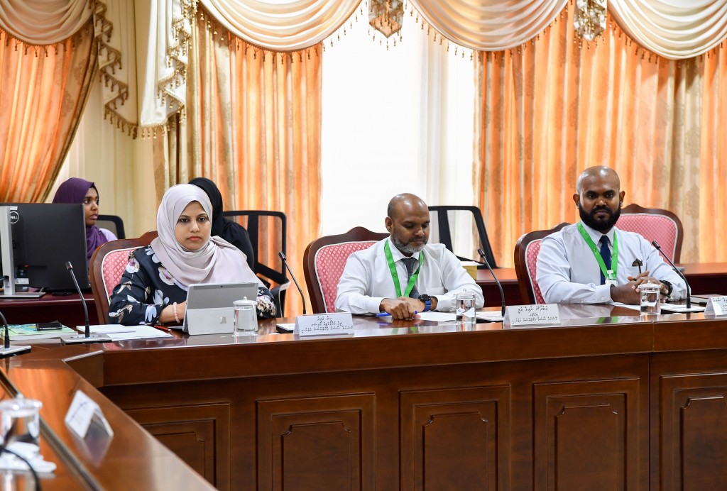 Thailand aai Dubai in Aasandha libeyne dhuvaheh varah avahah iulaan kuraane: Heena