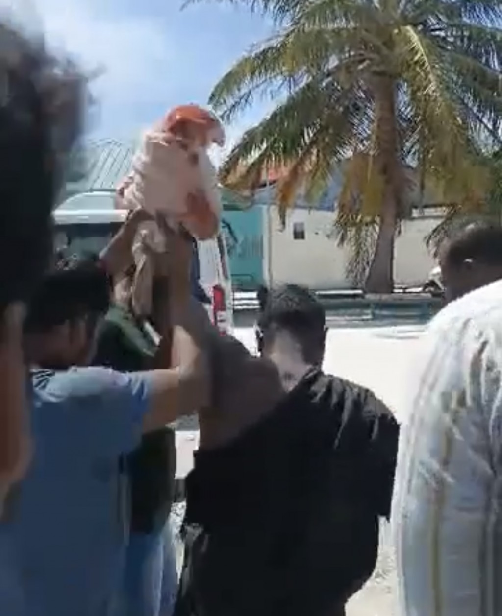 Masvereenge nimumeh nei miyaruge shakuvaa, hallakee kobaa?