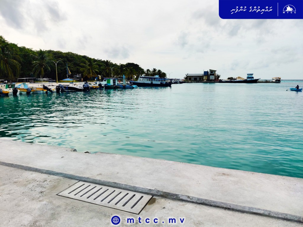 Ukulhahu ban'dharu mashroouge 84 percent masahkaiy ninmaalaifi