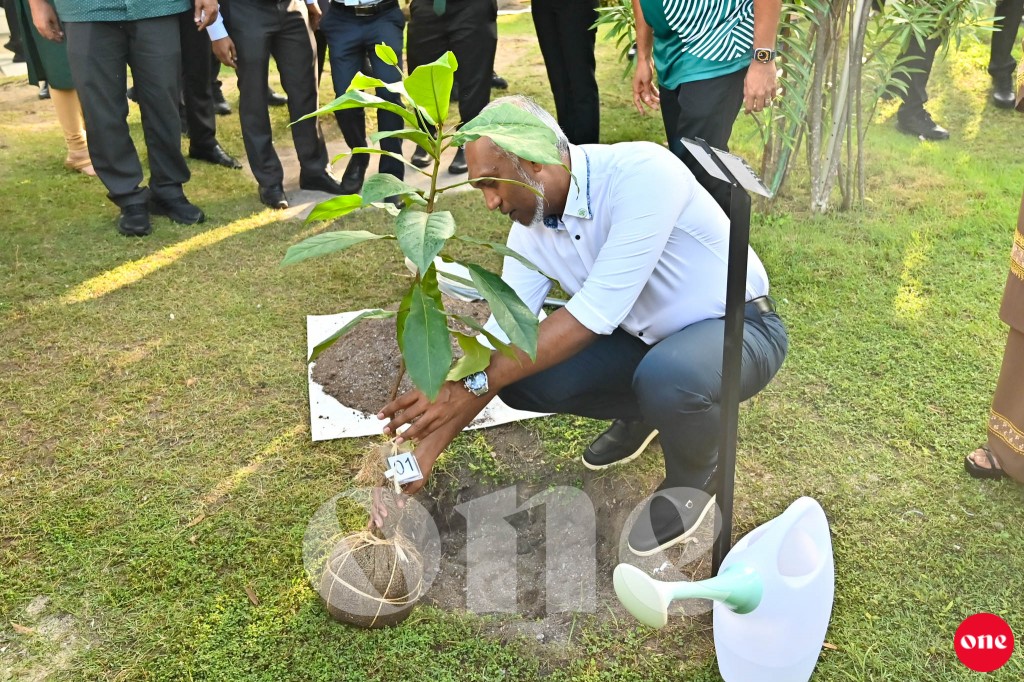 Raajjeyge musthagubalu gulhifaivanee dhuniyeyge thimaavettaa, avas fiyavalhu alhan jehey: Raees 