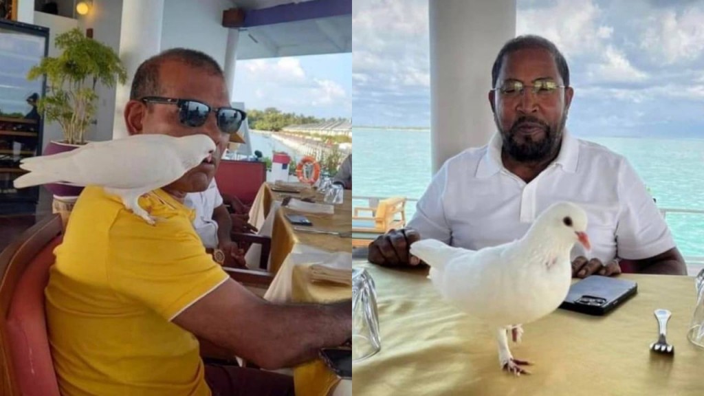 Nasheed aai Qasim bahdhalu kuravvaifi, enmenge nazaru hudhu kotharakah!