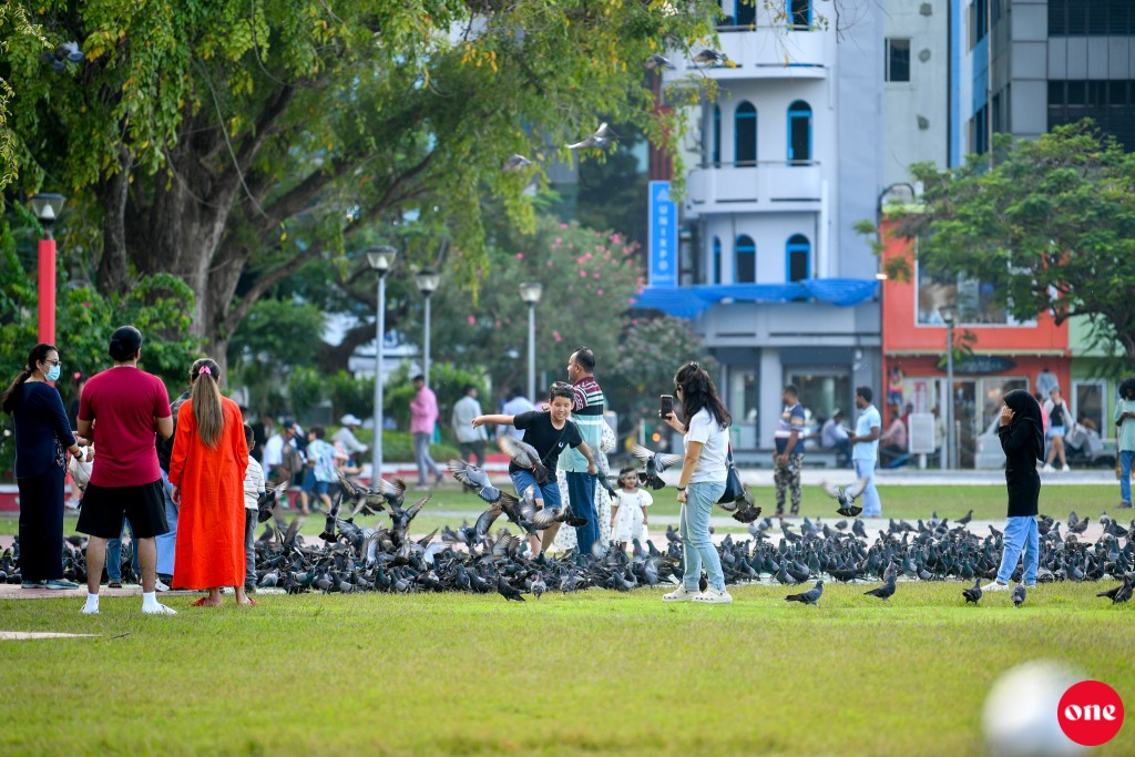 ވަން ފޮޓޯ: އާ އަހަރަށް ފަތުރުވެރިން މާލެއަށް، ބާރުބޮޑު ދުވަހެއް