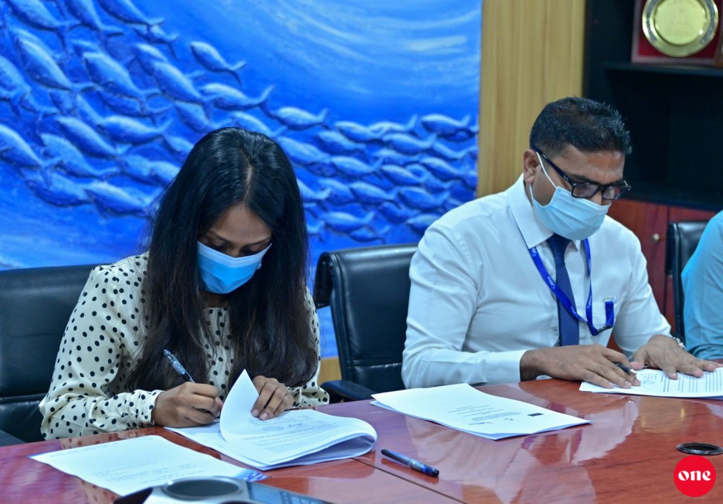 Amilla faraathakaa gulhigen sarukaarun gaaimukuraa furathama ice plant Hoarafushi gai
