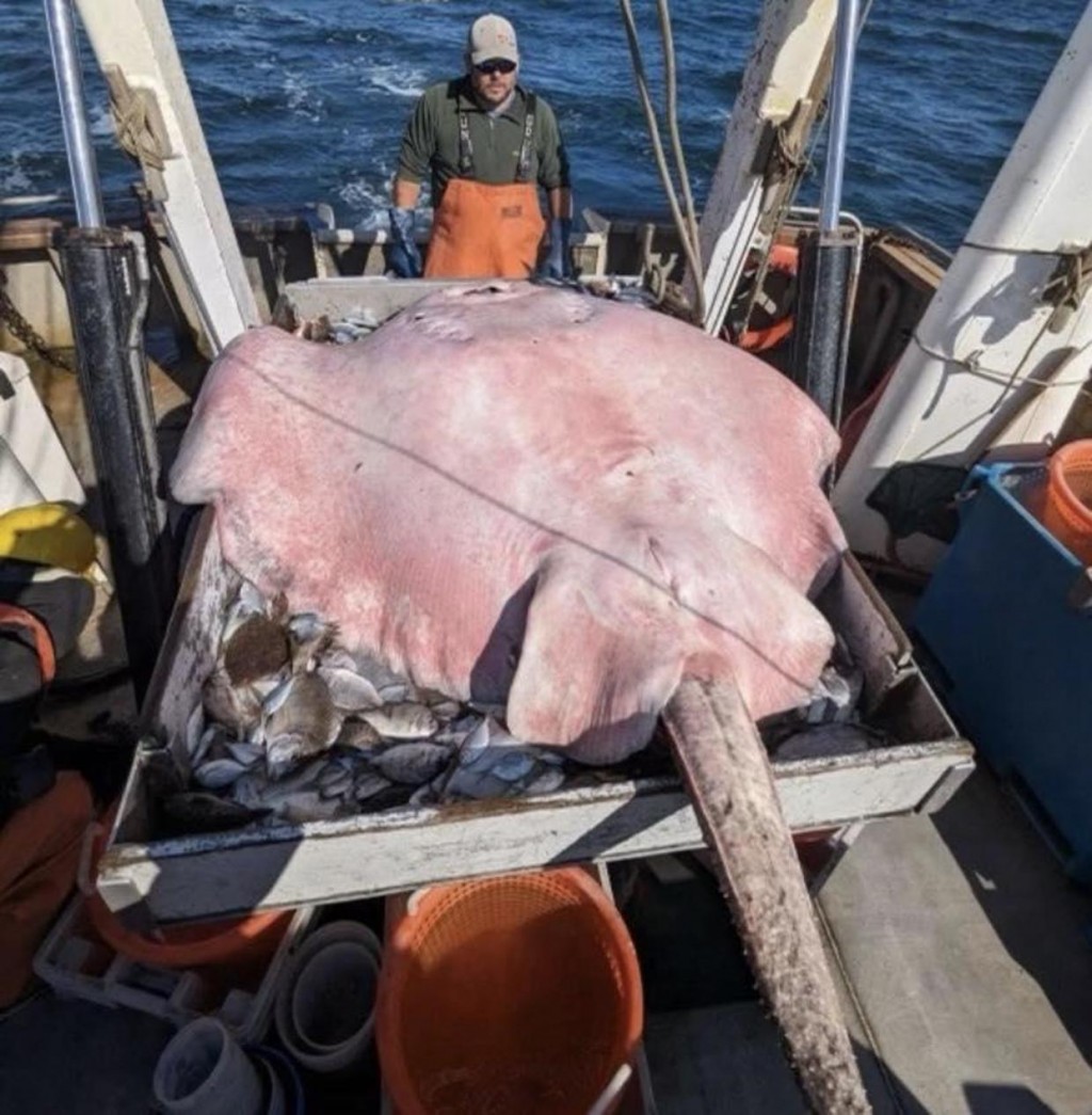 Barudhanugai 180 kilo huri madieh fenihjje