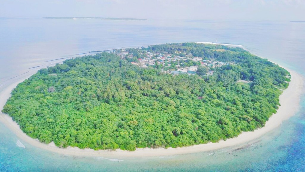 Muraidhoo in positive vi case akee re-infection eh tho balanee