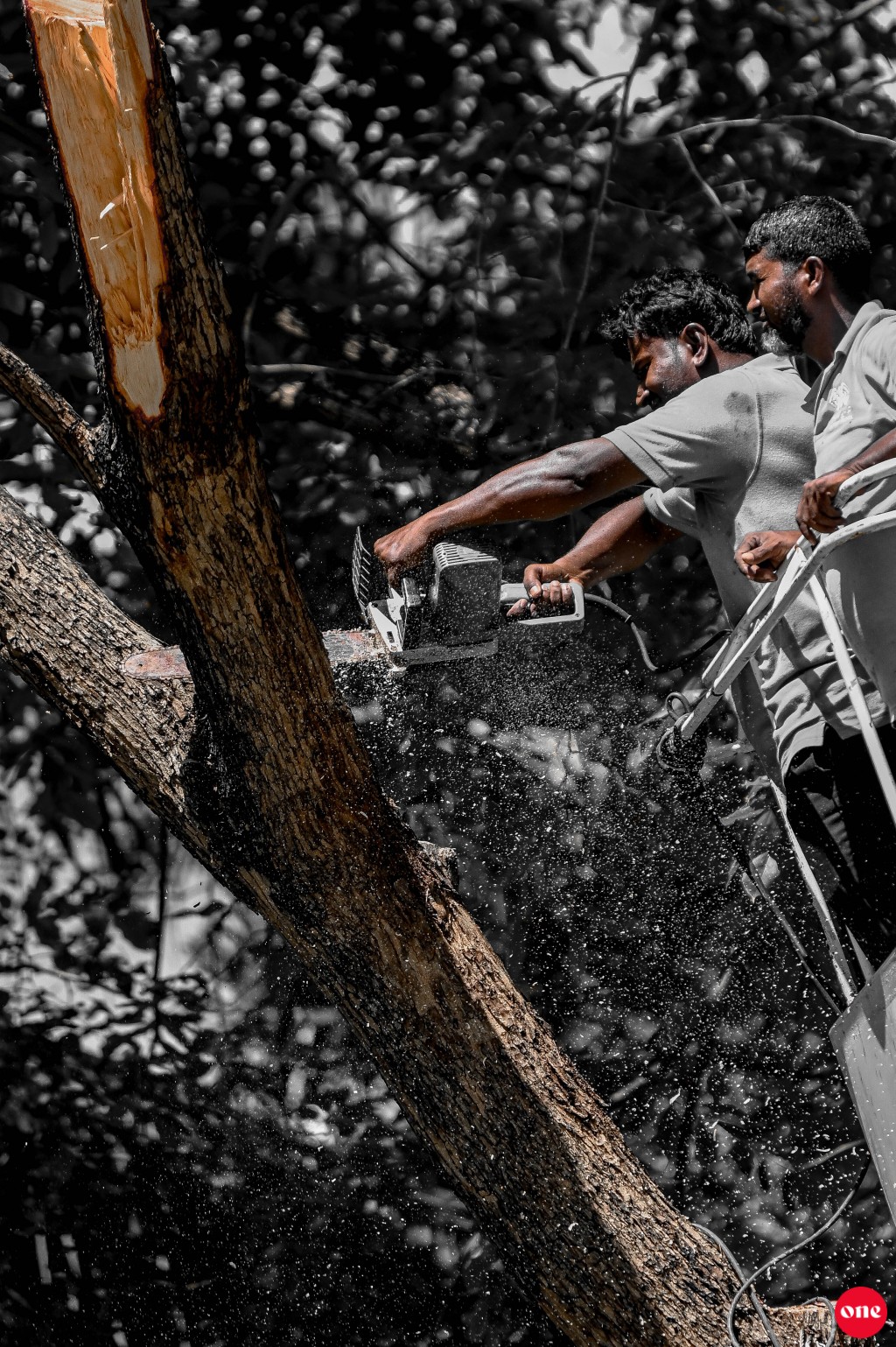 One Photo: Ameenee magu gai huri gasthah negun