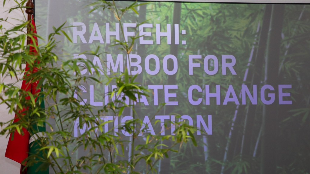 Net Zero emission ge amaazu haasilu kuran Raajjeygai onugas indhanee
