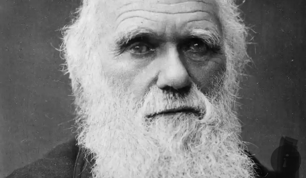 Insaanunge feshumakee raamaamakunu kamah buni Darwin ge autograph eh bodu agugai vihkkumah neelamah laifi