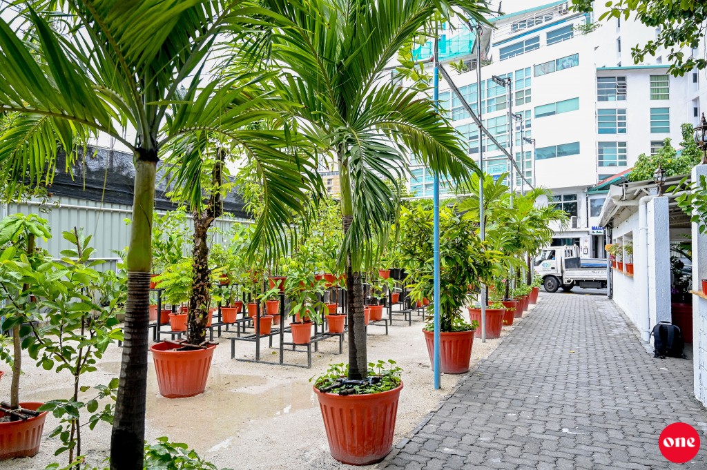 Huddha nunagai viyafaari kuraathee Male’ City Coucil joorimanaa kohfi