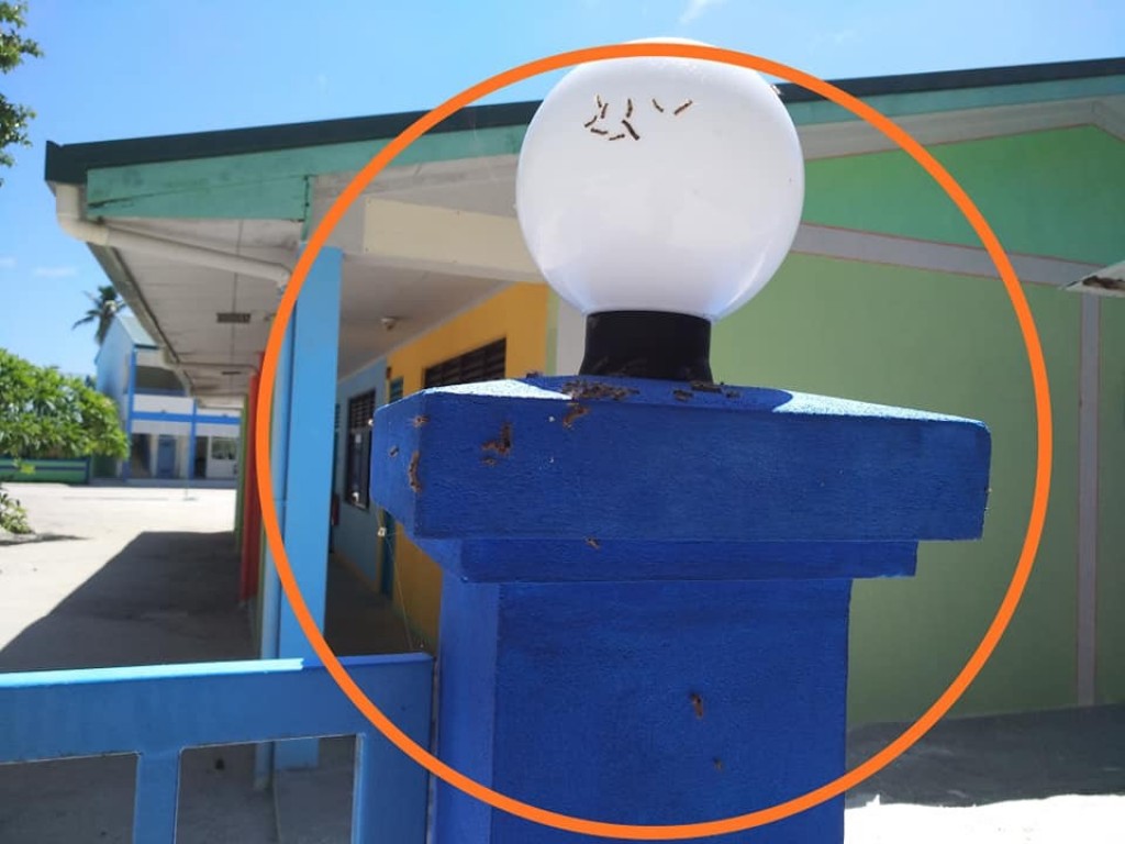 Maaemboodhoo Pre-School infested with Huvani