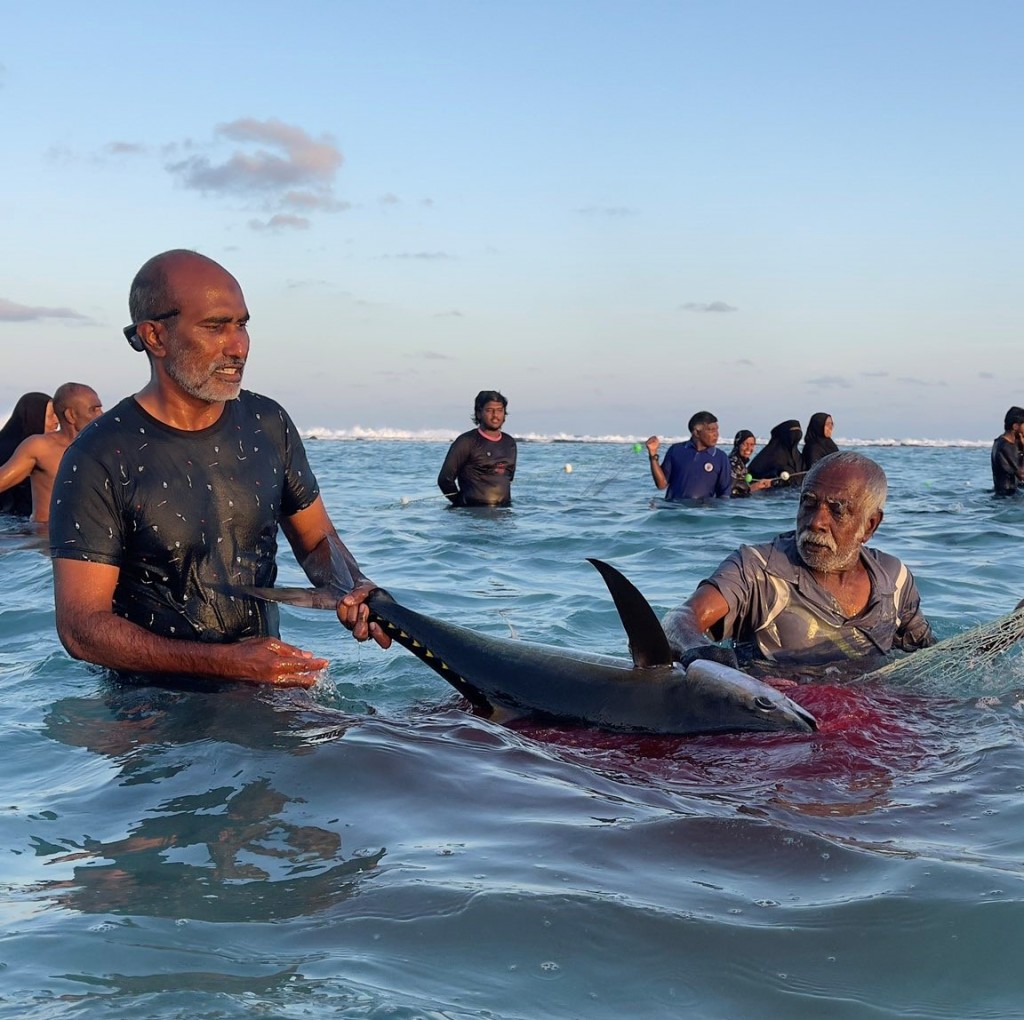 Maafaru falhu thereyah kanneli aineh, konme geyakah 2 mass!