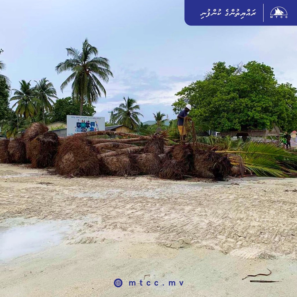 Feevaku bandharu hedhumah naganjehey ruhggas nagai, Hoarafushee Airport sarahahddhugai indhaifi