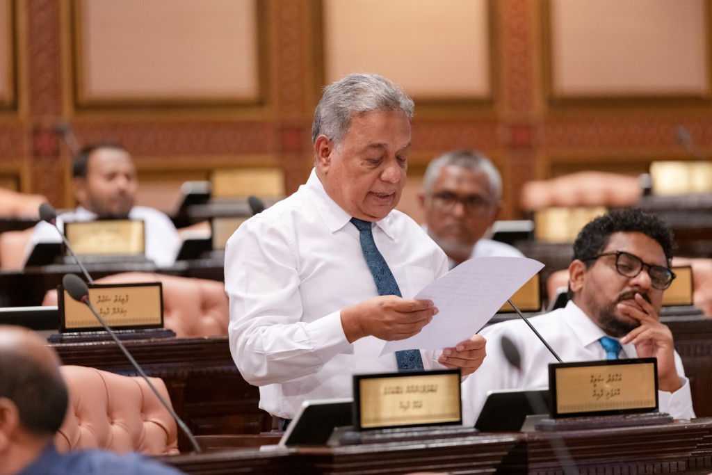 Raajjeyge veshin nuhaggu mussandhikan hoadhaa komme meehegge massalaves belen jehey: Saleem
