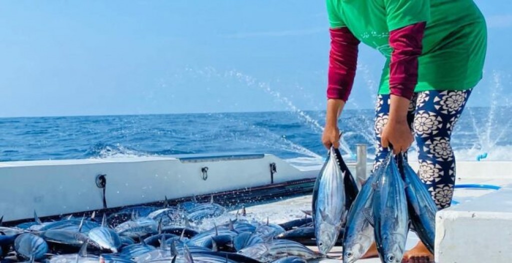 Raajjeyge kandu mahuge masveri kamah furathama faharah rating dheefi