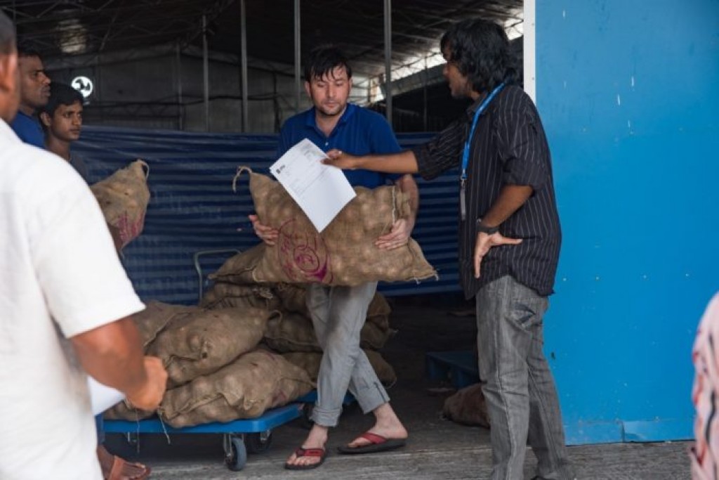 India will continue exporting onions to Maldives in spite of shortage: Embassy