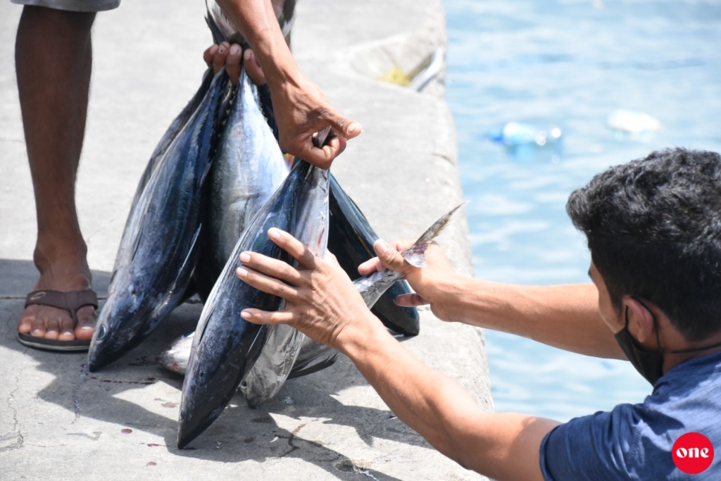Masverina faisaa dhenee BML ge faisaa'akun noon: BML