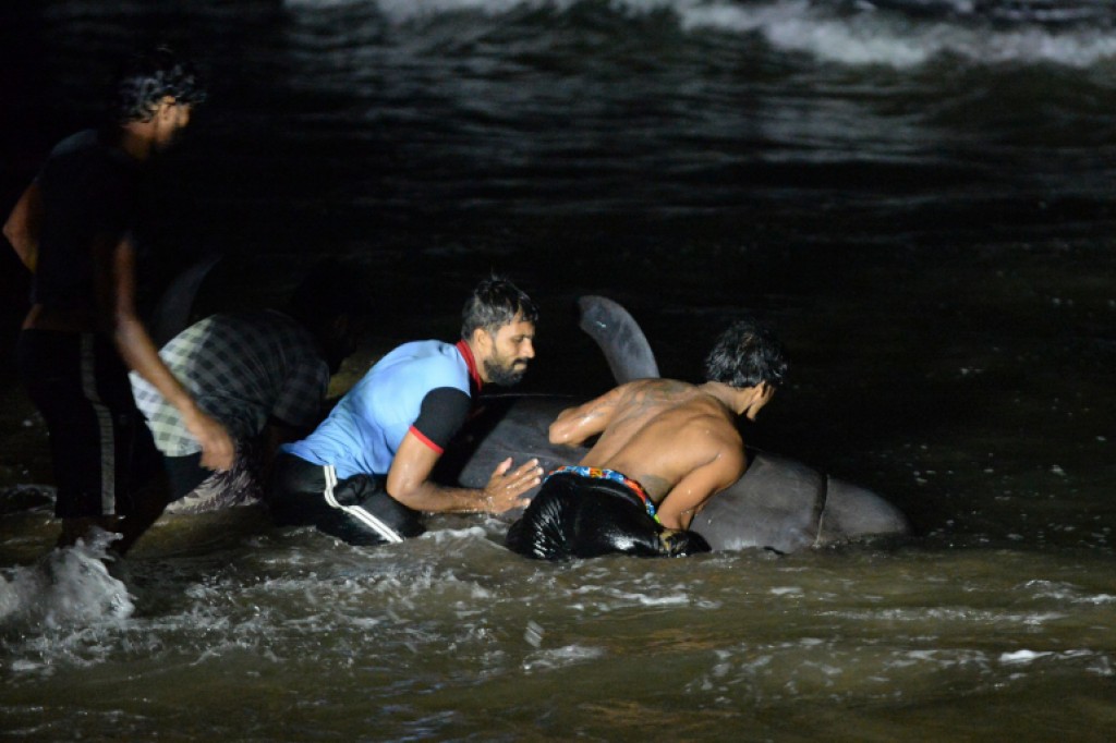 Lanka ge asseyrufashah lahggaafaivaa 100 bodu mas salaamai kohffi