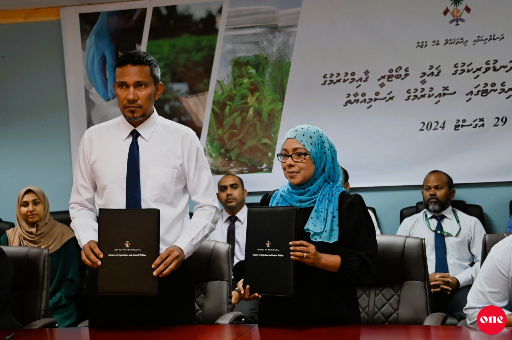 Fuvahmulaku gai dhanduverikamuge gaumee laboratory gaaimu kuranee