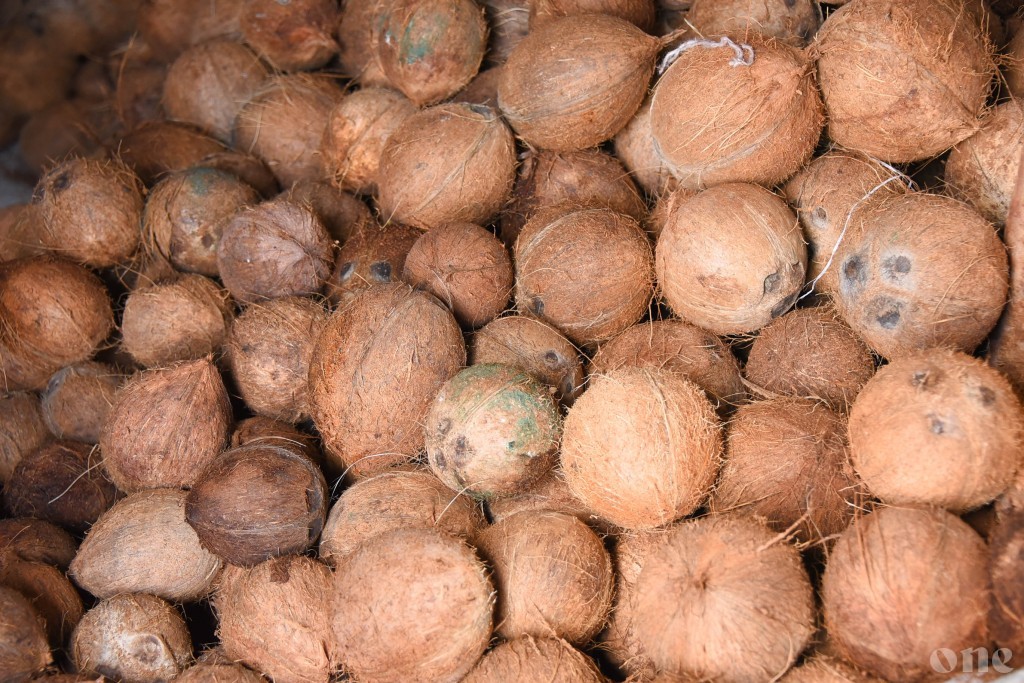 Police looks for rightful owner of two stolen sacks of coconuts