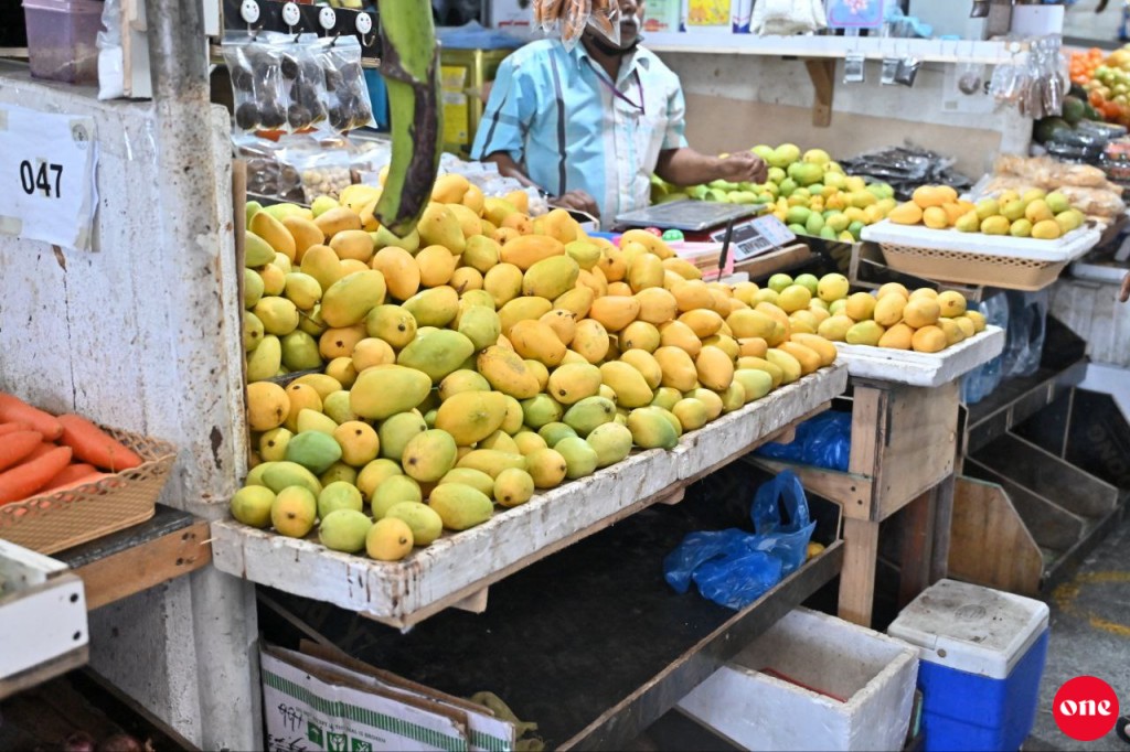 Roadha 11, ONE roadha baazaaru: Letus ge agu vettihjje, a'nbuthah ginave halaakuvanee!