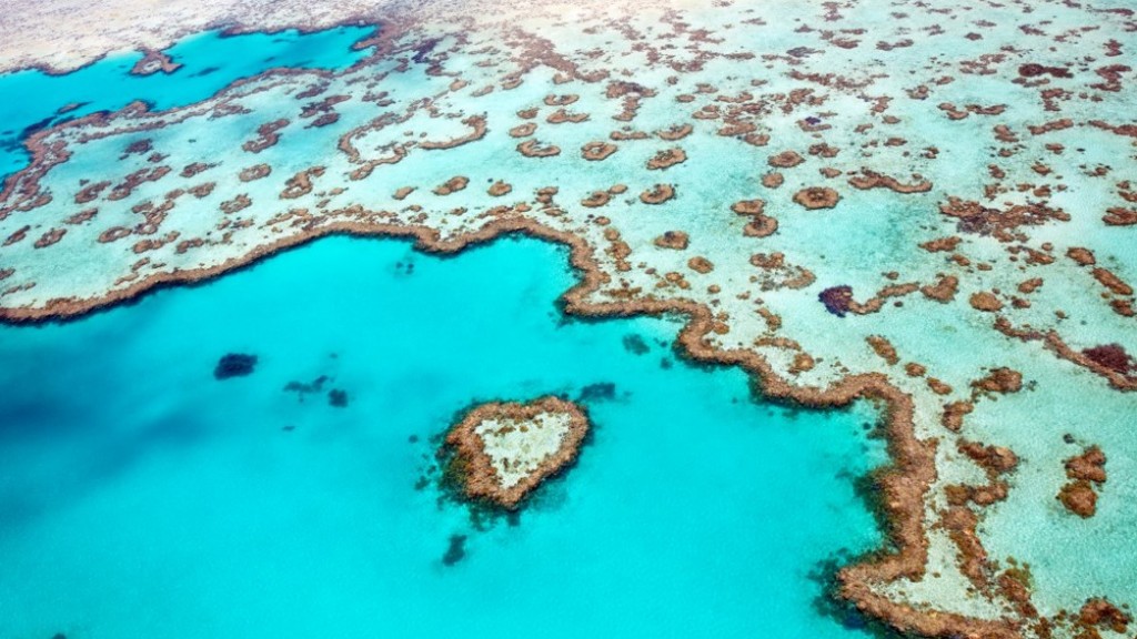 Australia ge Great Barrier Reef himaayai kurumah AI beynunkuranee