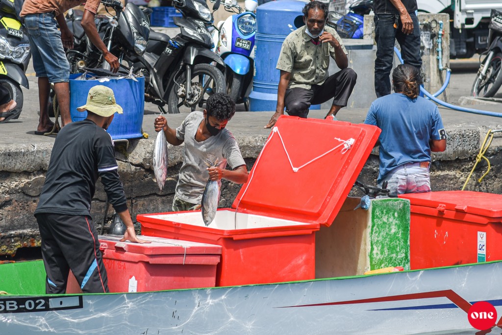 Mas ganna agu 25 rufiyaa ah bodukohffi, maadhamaain feshigen gannaane mi agugai