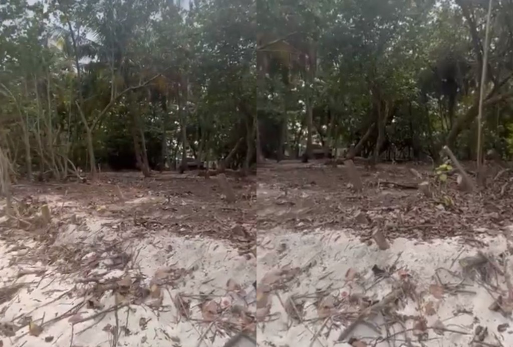 City Council inn Villimale heylhifashun gasthah kendee huhddha nuhoadhai, mahssala balan fashaifi