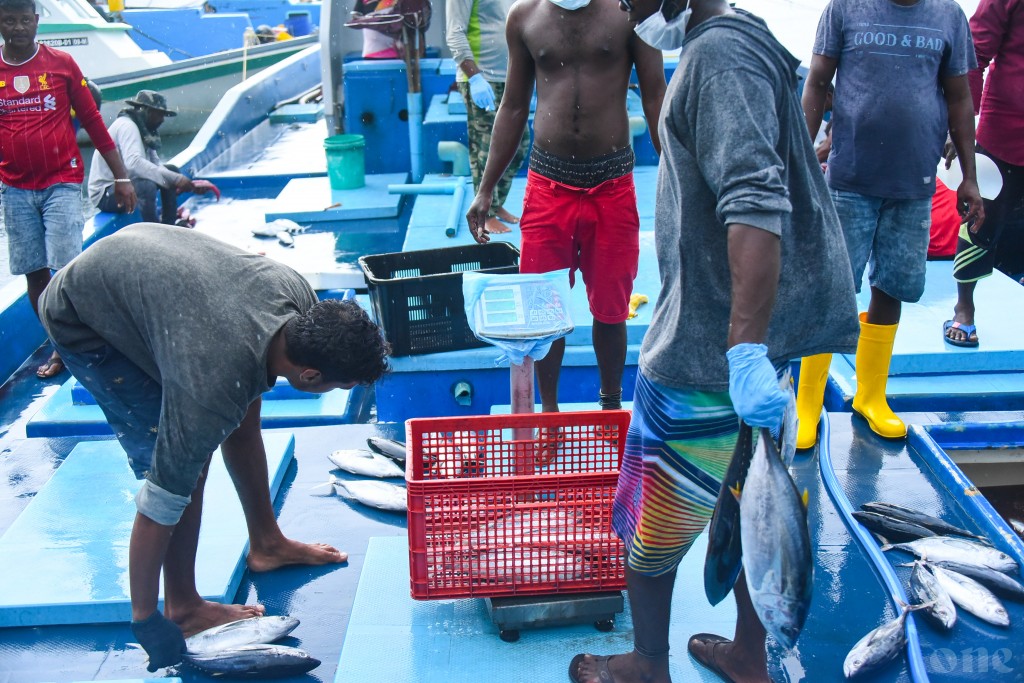 MIFCO ah mas ganna agu bodu koffi