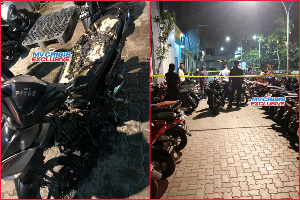 South Thaufeeg cycle gai anehkkaves bayaku roakohllaifi