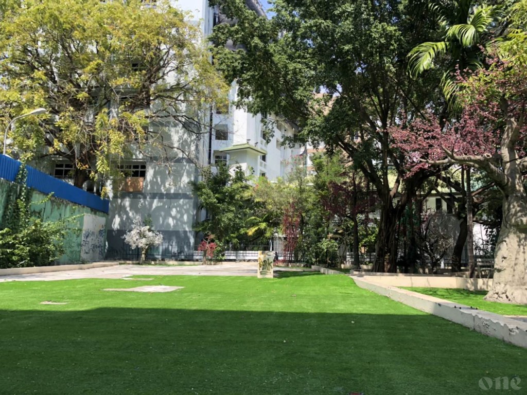 Parks to receive free Wifi starting tomorrow