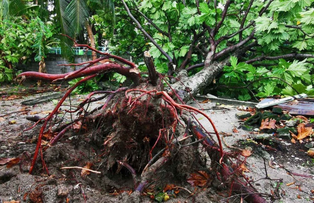 Gust of wind throws off roof of two houses in Felidhoo