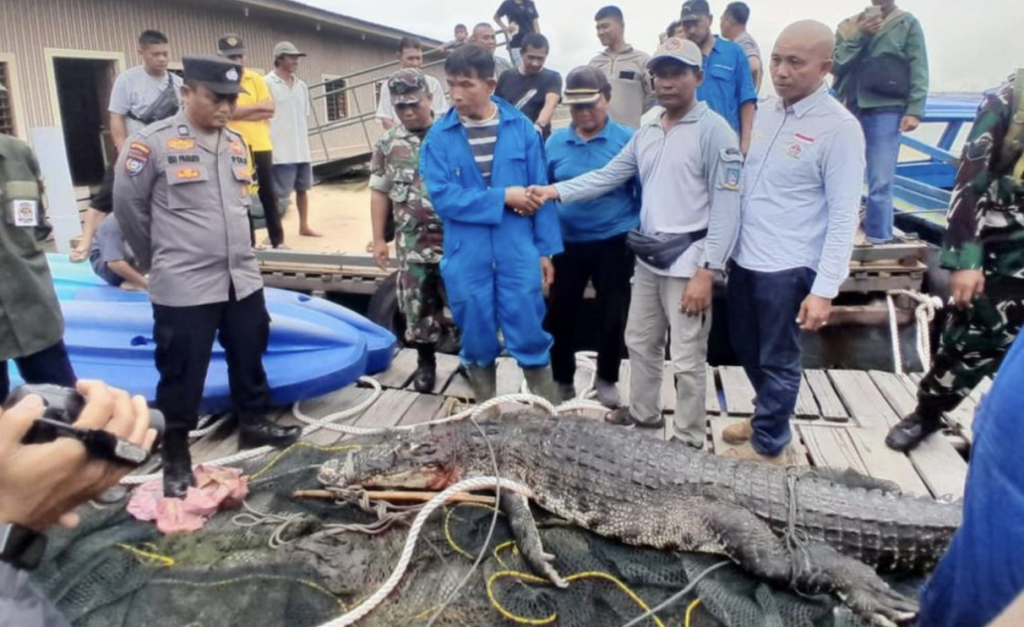 Indonesia ge farm akun kinboothakeh filumun salaamathee fiyavalhuthah varugadhakohffi