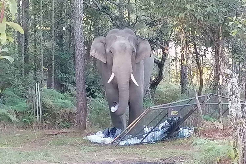 Etheh dhin hamalaehggai meehaku maruvumunThailand ge national park bandhukohffi