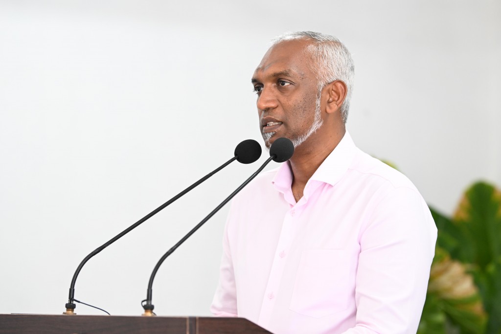 Inthihaabaa dhimaakoh kuree sarukaarun feshi mashroouthah huree huhtifai: Raees