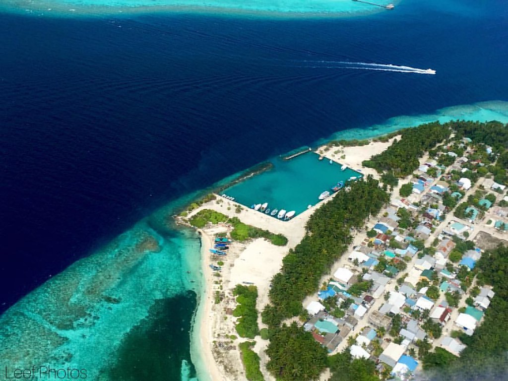 Dhonfanu ge bin nuhikkan Raees ninmavaifi