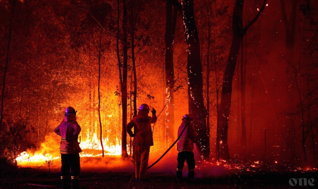 IAC fundraiser to help those affected in Australian wildfire