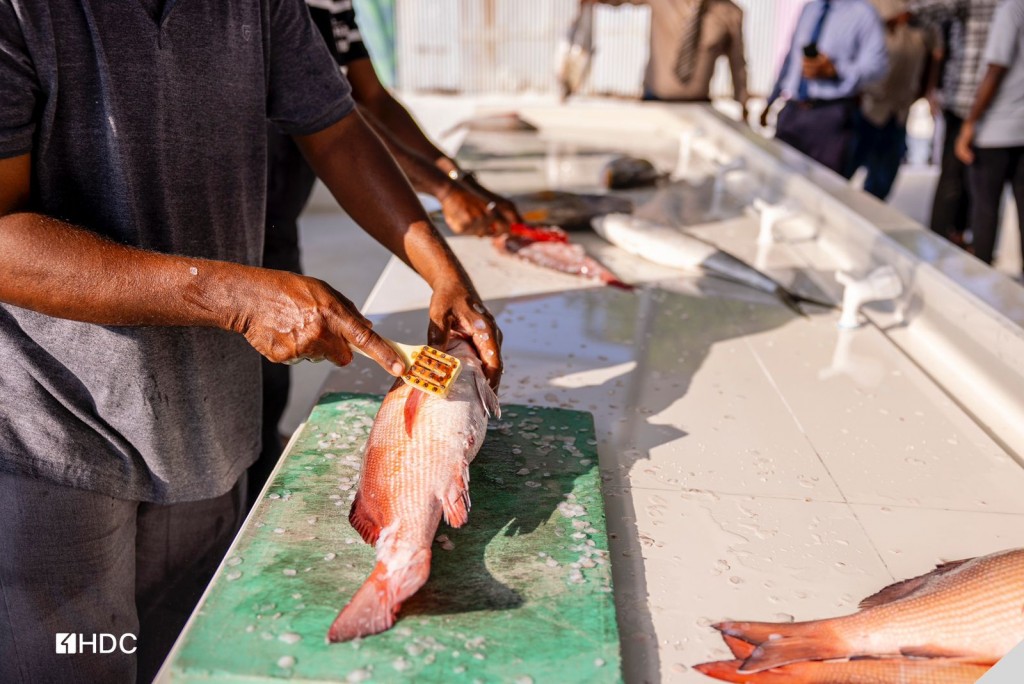 Roadha ah Hulhumale' phase 2 gai mas market akaai local market eh hulhuvaifi