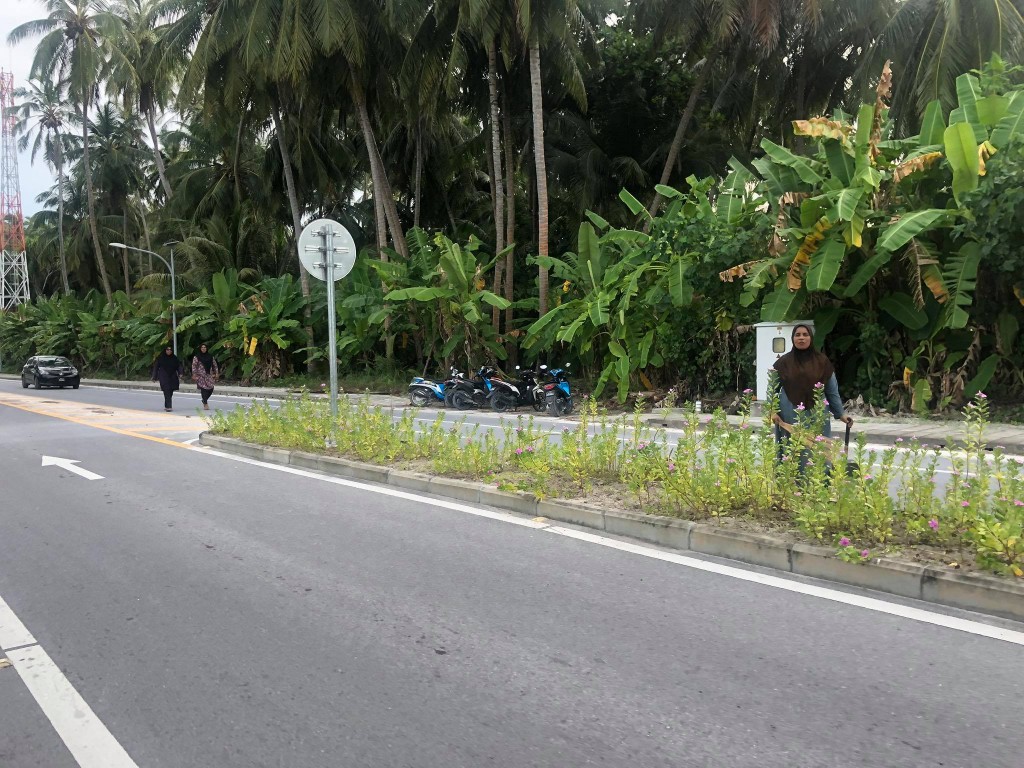 Covid ah positive vaa meehunge adhadhu ginave L. Fonadhoo monitoring ah