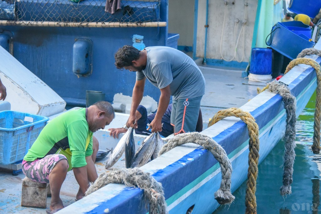 Income support ge gothugai masverinnah 8.4 million rufiyaa dhookoffi